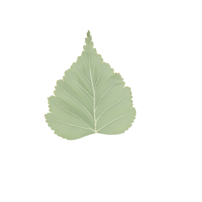 2_alosa.png