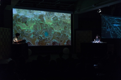 arquea-colectivo.jpg