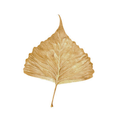 43-badiarafart.png