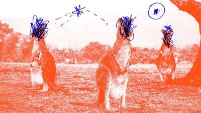 web_cou.jpg