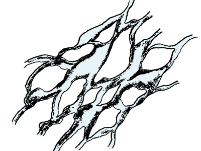 19.png