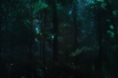pneuma_still_2.jpg