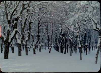 invierno2.jpg