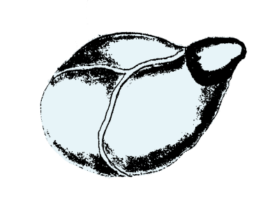 23.png