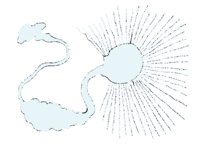 7.png