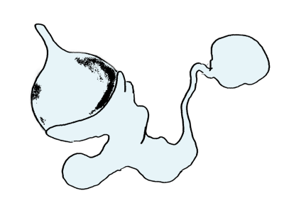 8.png