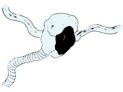 9.png
