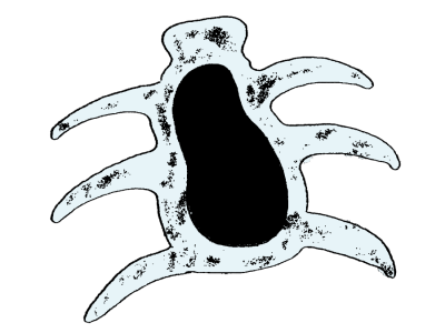 27.png