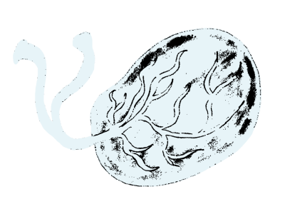 10.png