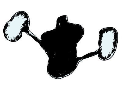 12.png