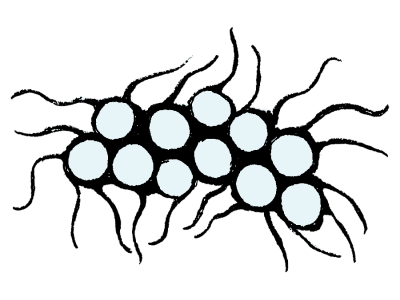 18.png