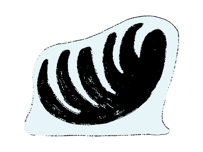 31.png