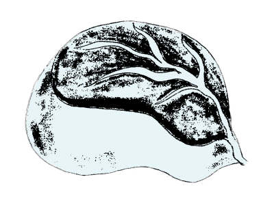 32.png