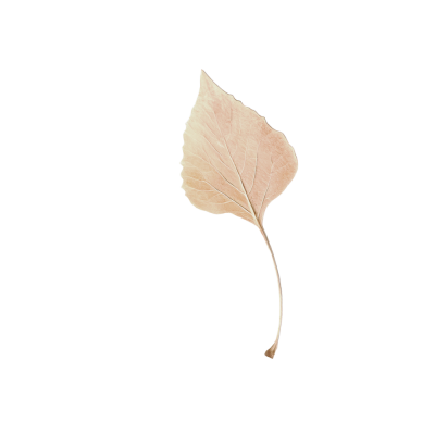 55-tatianammelo.png