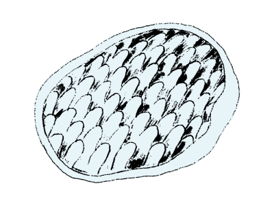 15.png